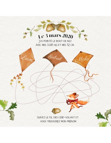 Faire-part Naissance Renard...