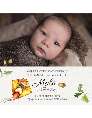 Faire-part Naissance Renard...