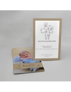 Faire-part Naissance Lapin...