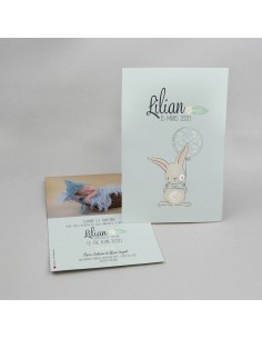 Faire-part Naissance Lapin...