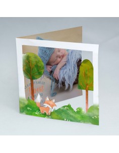 Faire-part Naissance Foret...