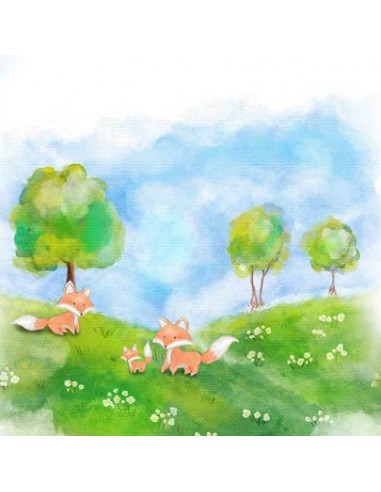 Faire-part Naissance Foret Renards -... Faire-part Naissance Foret Renards -...