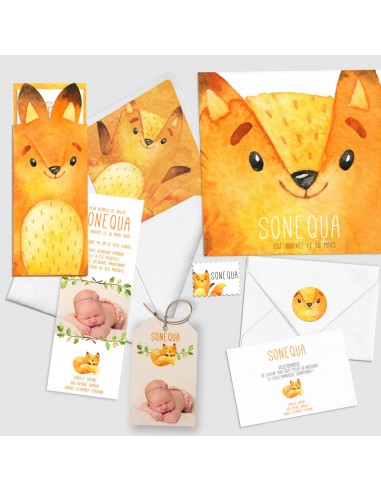 Faire-part Naissance Pochette Petit...