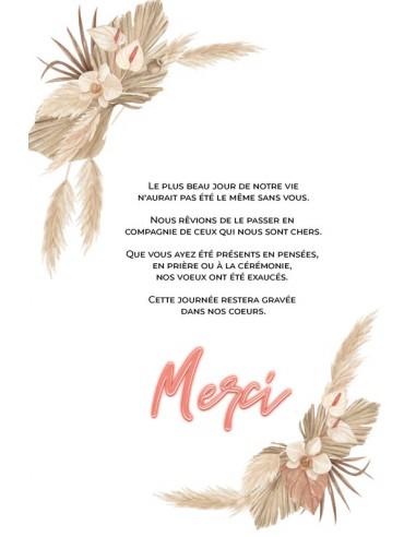 Remerciements Herbe de la Pampa -... Remerciements Herbe de la Pampa -...